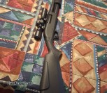 12ga pump shotgun 