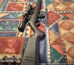 22lr automatic rifle 
