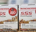 Winchester 22