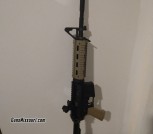 Palmetto State AR-15