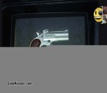 Derringers 9mm n 22