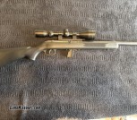 Savage model 64 10–22