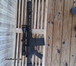 Palmetto ar10 308 