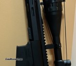 Palmetto Ar10