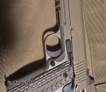 Kimber desert warrior 1911