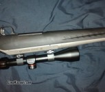 308 American ruger
