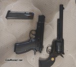 S 120 & Chiappa 17hmr