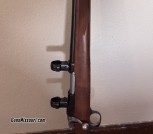Ruger M77/22 Hornet