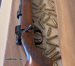 CZ 22 Hornet