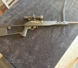 Ruger 10-22