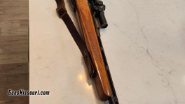 Remington 600-3