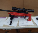 Ruger Charger 10-22 pistol