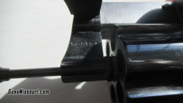 Pistol (2)