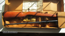 22 Rifle (1)
