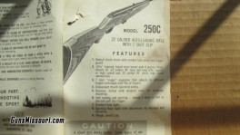 22 Rifle (3)