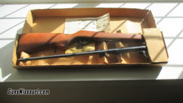 22 Rifle (8)