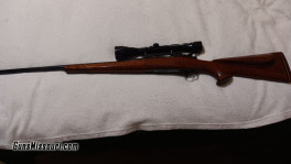 6MM-1