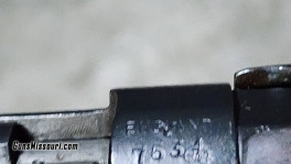 1000029873