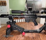 Custom Built AR-15