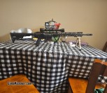 .308 AR-10
