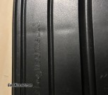 Black dog 22 magnum/ 17hmr 23 rounders