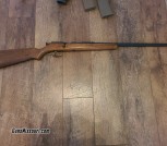 22 caliber single shot rifle