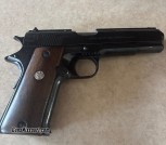 Llama 45 ACP
