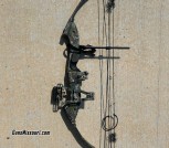 Compound Bow For Sale