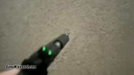 Kimber 6