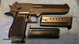 16054826_02_desert_eagle_44_1024