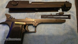 16054826_04_desert_eagle_44_1024