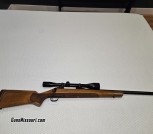 Savage 110v 223 with Burris 10x scope
