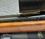 IMG_6936