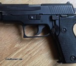Sig P6