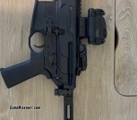 Sig Rattler 300blk & aimpoint